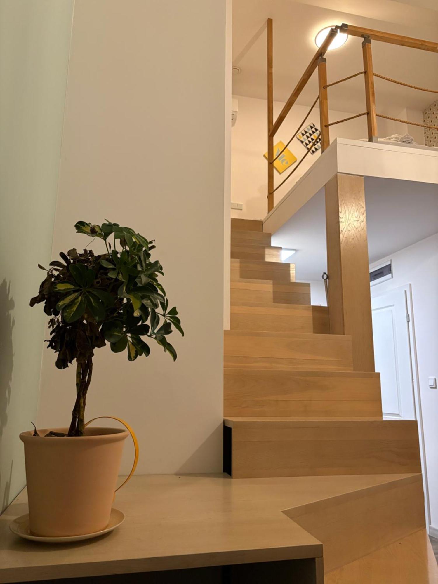 Duplex Studio